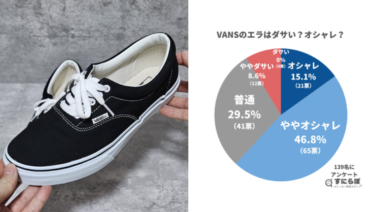 VANSのエラモデルは一部でダサいと言われている？139人のアンケートから検証