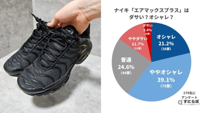 ナイキのエアマックスプラスはダサい？179名のリアルな評価を公開 | す